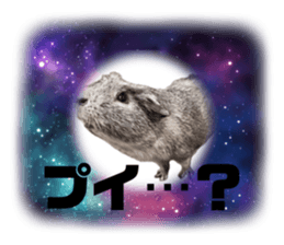 717231568