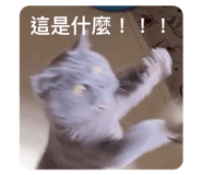 717234325