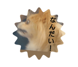 717235539