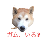 717241426