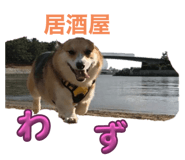717241432