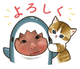 717260868