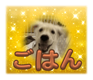 717330657