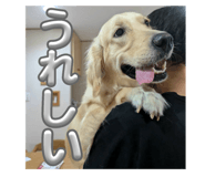 717330665