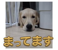 717330666