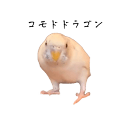 717331921
