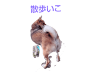717334329