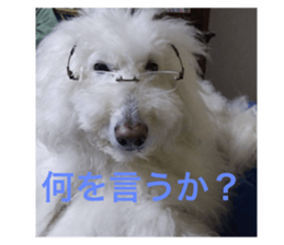 717334586
