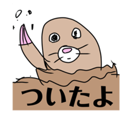 717334862