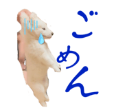 717342987