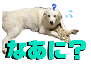 717342991