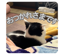 717344572
