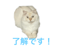 717355633