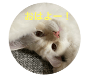 717355640