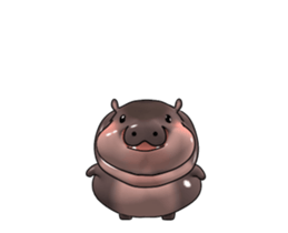 717356855