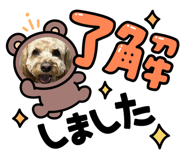 717362125