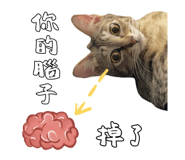 717408304