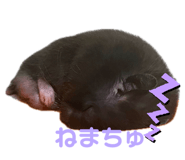 717409203