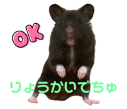717409205
