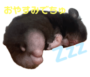 717409209
