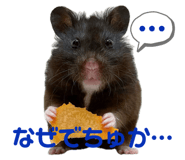 717409227