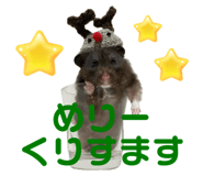 717409230