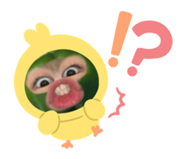 717422660