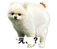 717440800