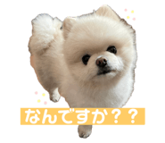 717440802