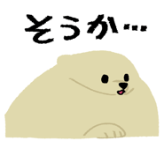 717463251