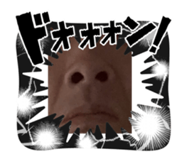 717465219