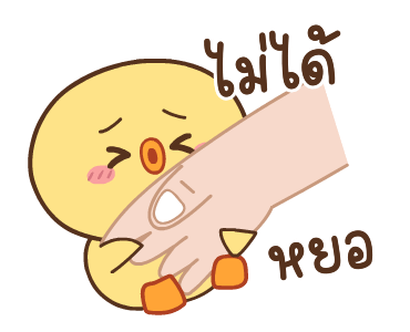 ลายที่ 11