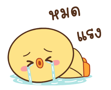 ลายที่ 19