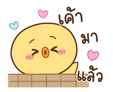 ลายที่ 23