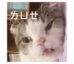 717482171
