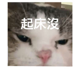 717482178