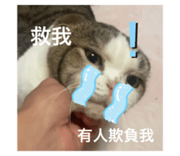 717482184