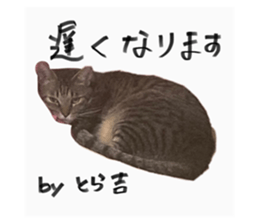 717484503
