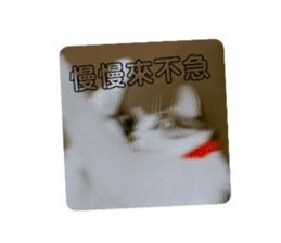 717484542