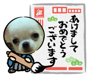 717495344