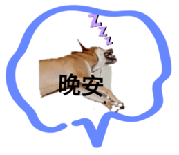 717506817