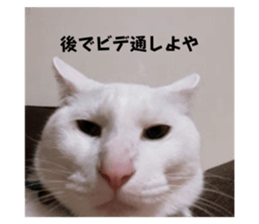 717507354