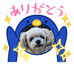 717560610