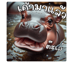 717635570