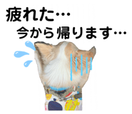 717687149