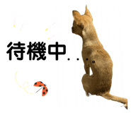 717687151