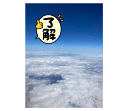 717687381