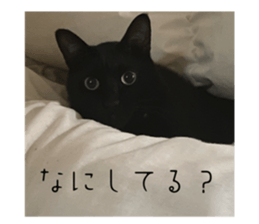 717691897