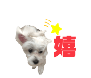 717741575