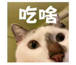 717836589